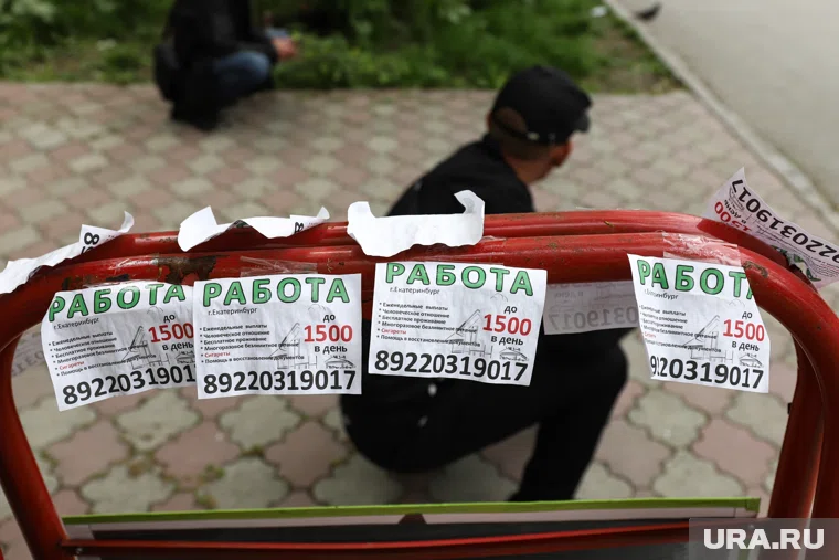 Соискатели находят работу за пять месяцев в 2025 году