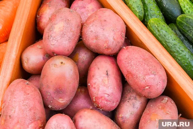 Картофель и овощи могут принести деньги держателям личных подсобных хозяйств