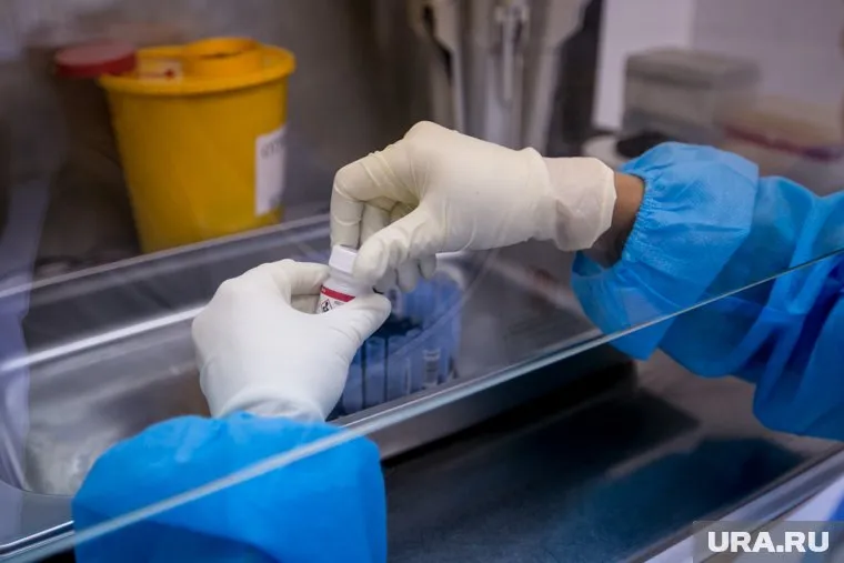 После оспы обезьян могут быть вспышки других опасных болезней, сказал Павел Волчков