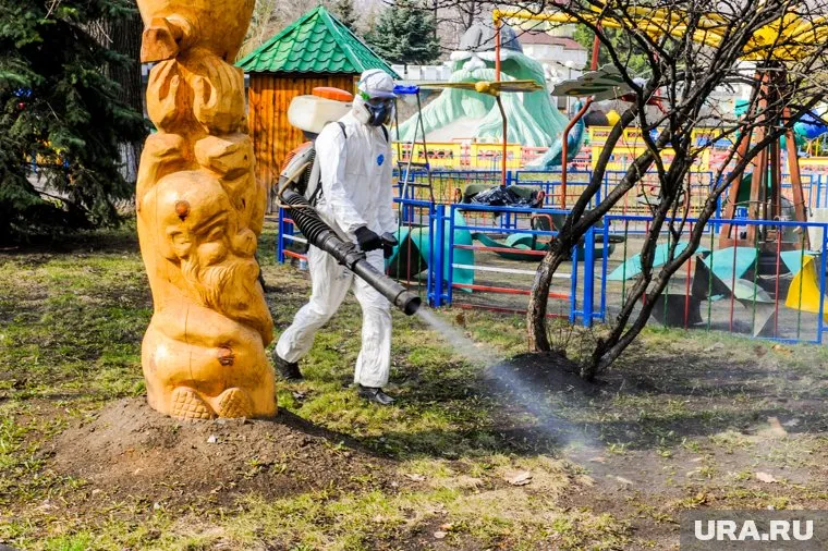 Врач считает, что уже сейчас можно открыть парки, детские сады и школы