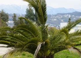 Эмоции на пределе: кто не выдержал испытаний в новом выпуске «Звезды в джунглях»