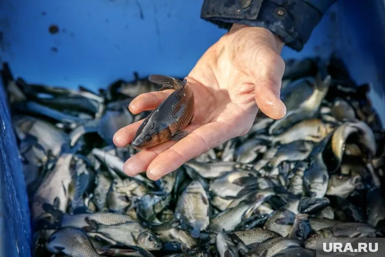 Представители ММК рассказали, защищено ли от загрязнения Магнитогорское водохранилище