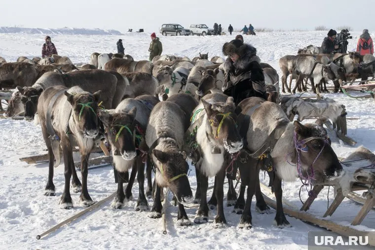 В Новом Уренгое провели Масленицу, а Праздник народов Севера отменили из-за коронавирусных ограничений
