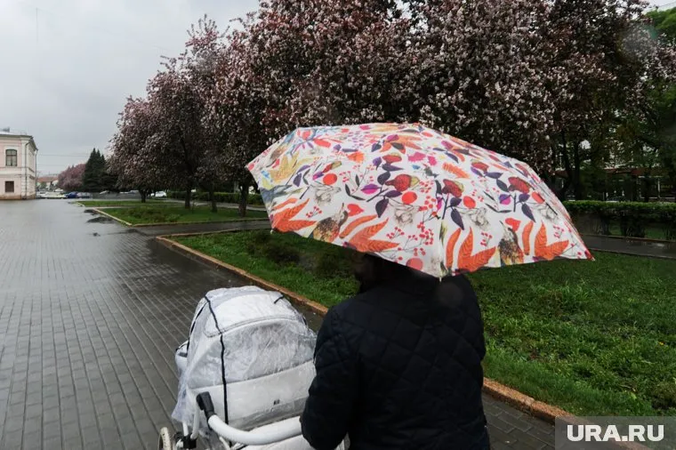 Ослабления жары жителям Центральной России стоит ждать уже с понедельника