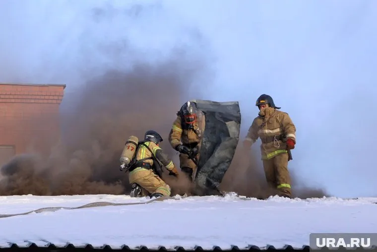 Курганские пожарные вернули жизнь котенку после пожара