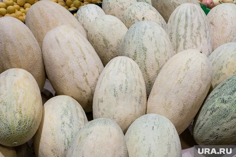 Сорт «Торпеда» возглавил рейтинг самых покупаемых дынь