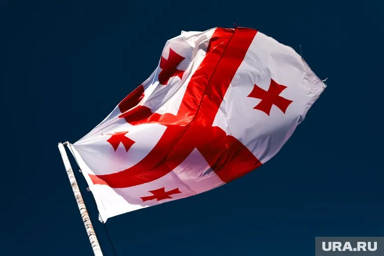 В Грузии призвали голосовать за мирное развитие страны