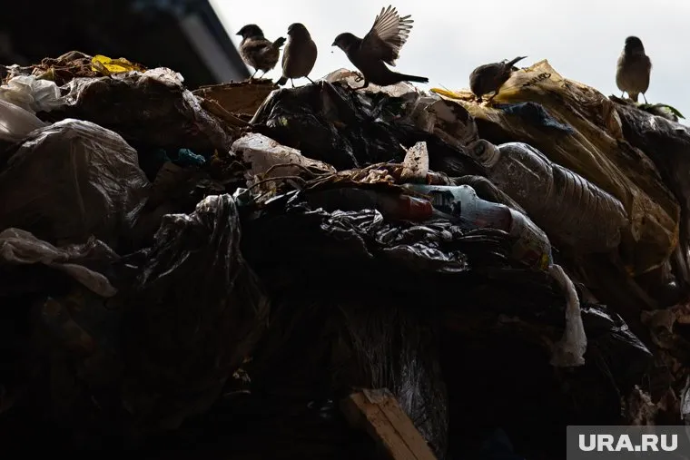 По словам местных жителей, мусор не вывозится уже неделю (архивное фото)