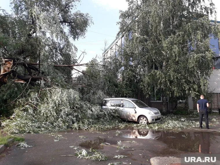 Ураган вырывал и ломал деревья