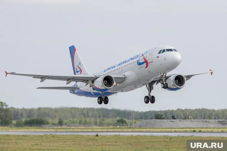 Деньги, которые тратит власть на перелеты, Самогулина предложила потратить на детские подарки