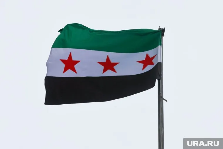 Новые власти Сирии объявили о прекращении действия прежней конституции страны