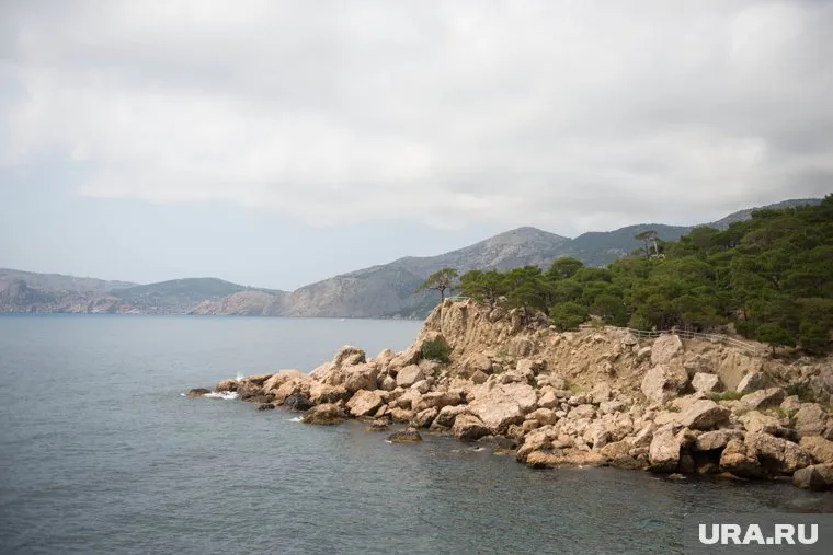 В соцсетях предположили, почему Минобороны Великобритании не заметило обстрел своего корабля