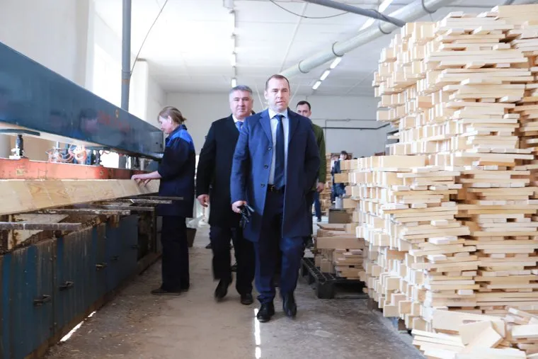 Шум шатрово необр