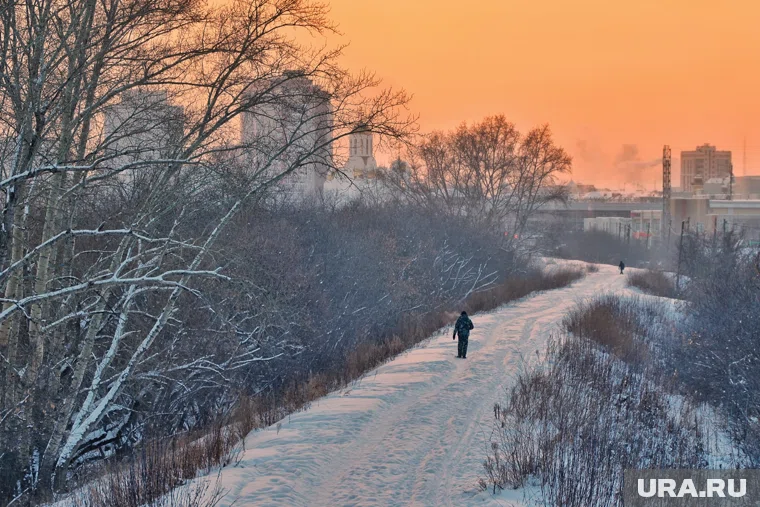 В Кургане отменили занятия в школах из-за погоды