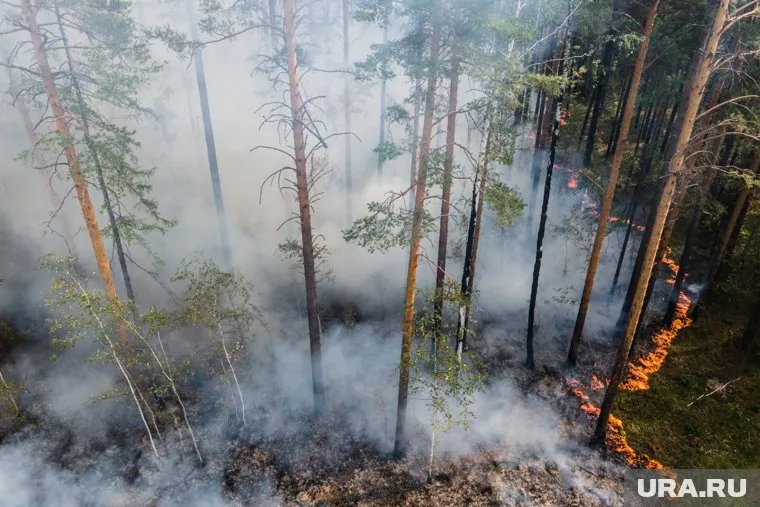 Пожар был локализован за 2,5 км от села Лобанова за сутки