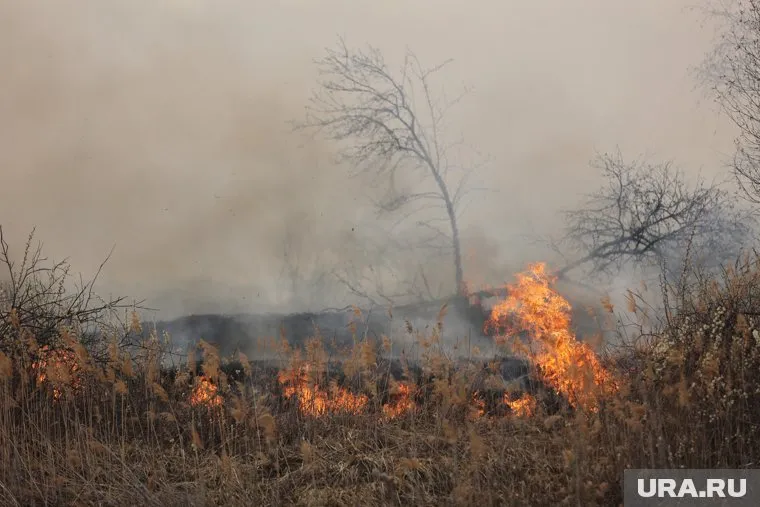 Курганцы рассказали, что возле города поджигают леса