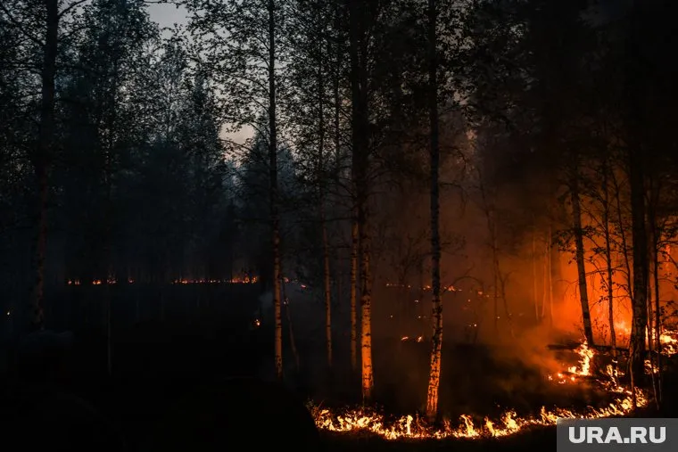 Площадь лесных пожаров в Челябинской область увеличилась