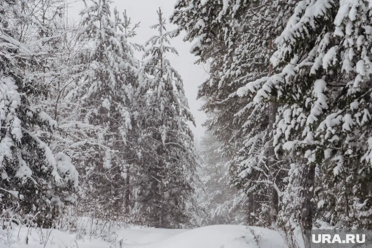 Самым студеным местом в России стала метеостанция Делянкир