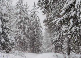 Морозы до минус 50 градусов ударили в России