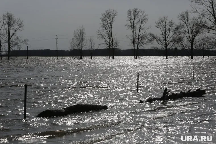 За сутки вода в Ишиме поднялась на 211 сантиметров, уточнили в тюменском правительстве