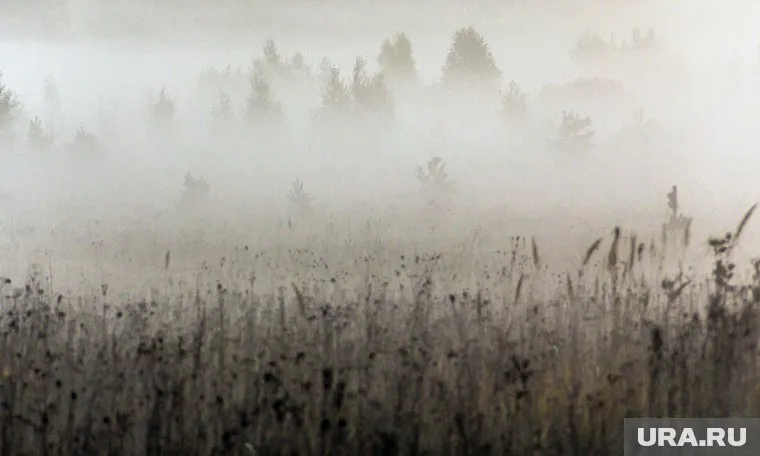 Множество самых разных праздников отмечается 13 августа 2025 года