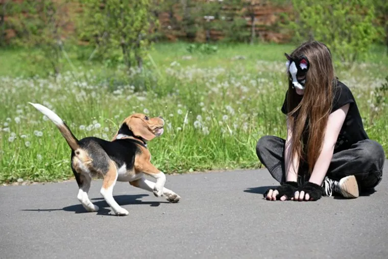 файл