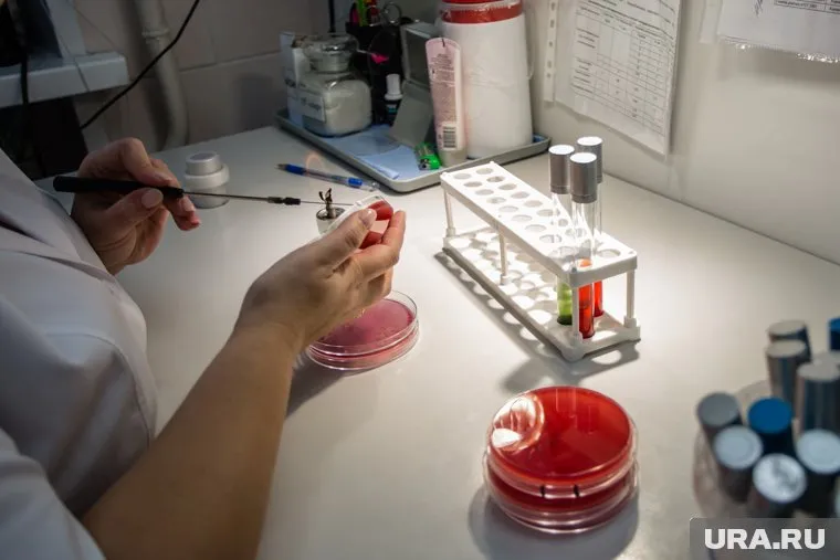 Единственная частная лаборатория перестала делать анализы на коронавирус