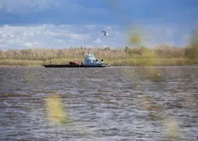 Фотография из галереи