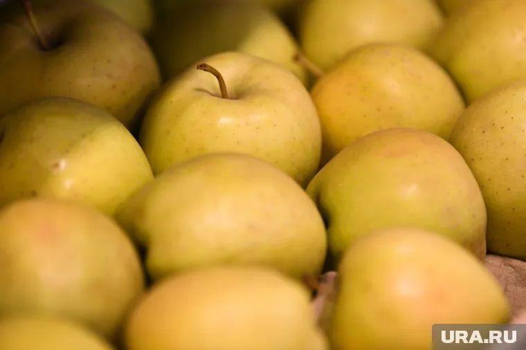 Кыргызстанские яблоки пропустят в свердловские магазины