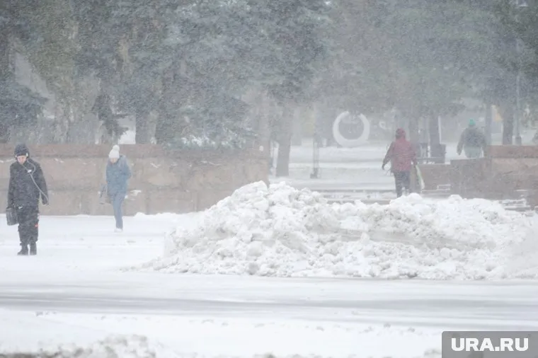 Снежный шторм обрушится на регион 9 и 10 ноября