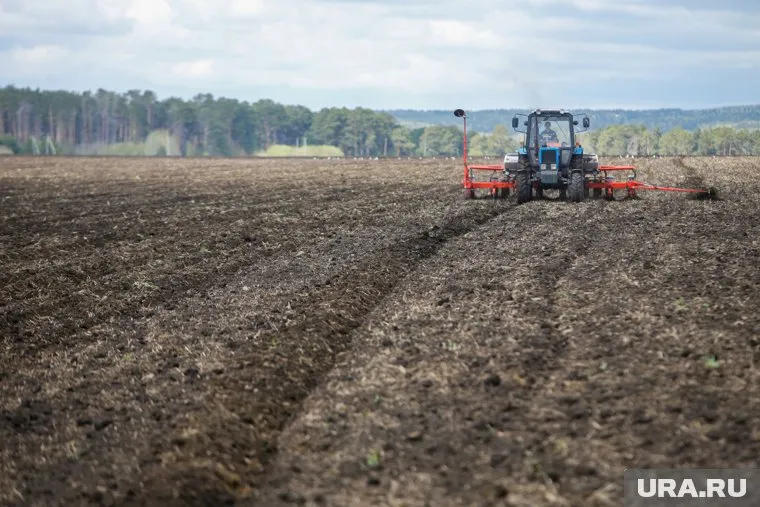 Стоимость каждого трактора оценили в 278 тыс. рублей (архивное фото)