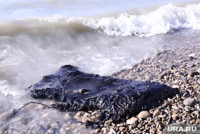 По мнению эколога, в Геленджике нет мазута в море