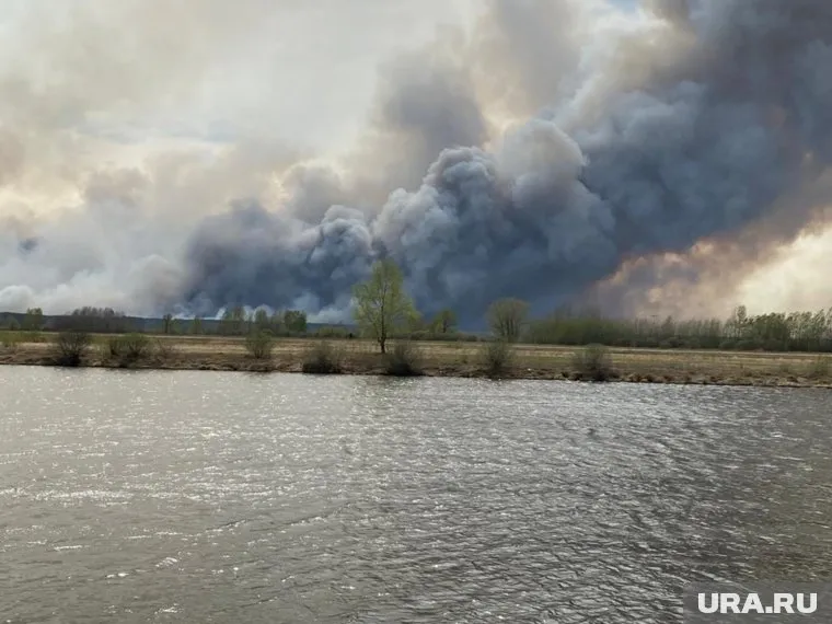 На Старотобольском тракте под Тюменью горят леса