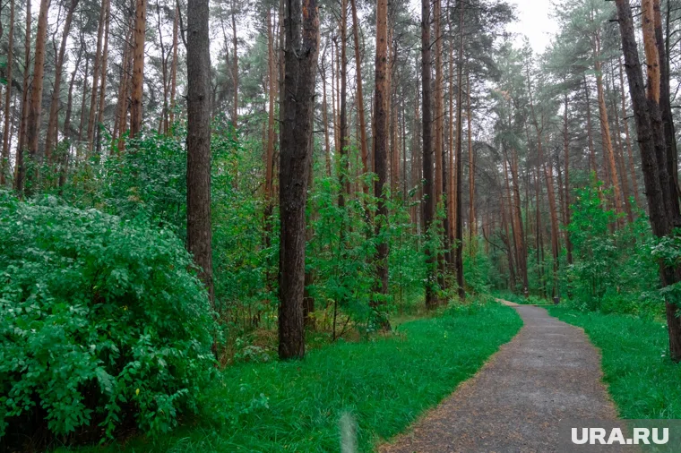 В главном парке Сургута появилось 16 зеркальных столбов