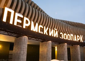 В Пермский зоопарк завезут гиен