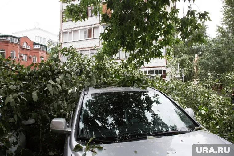 Из бюджета Кургана выплатят более 800 тысяч рублей за поврежденную иномарку (фото из архива)