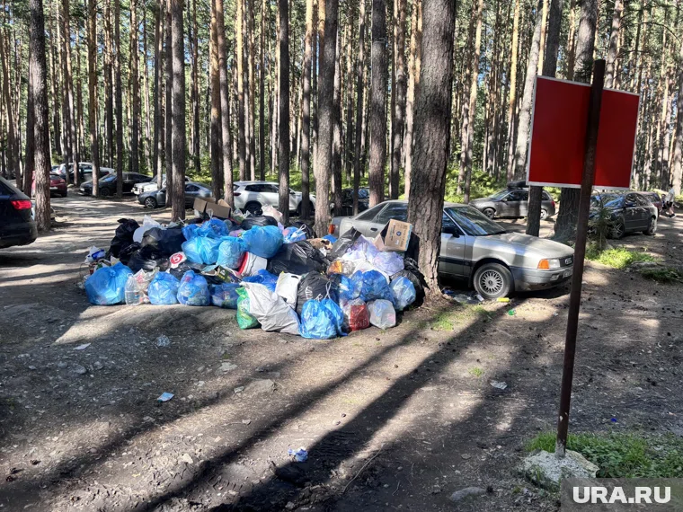 В России за незаконную свалку может грозить до двух лет