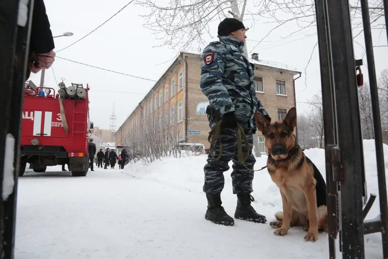 Нападение на учеников, школа 127. Пермь, служебная собака, школа 127, полиция, овчарка