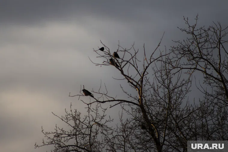 Что можно отметить 23 сентября 2025 года