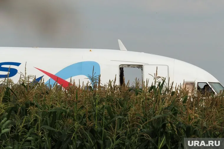Причина приземления самолета на кукурузное поле — попадание чаек в двигатели
