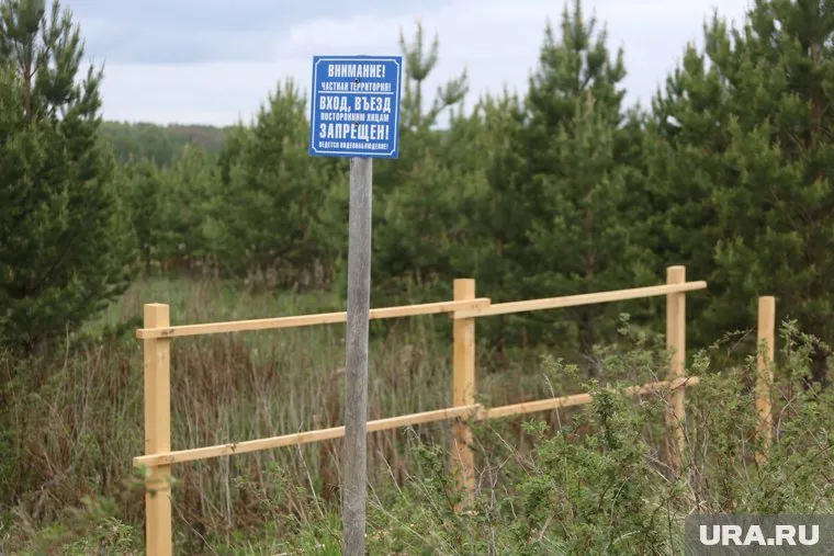 Два дня, пока шли поиски, дети ждали, когда их найдет дед