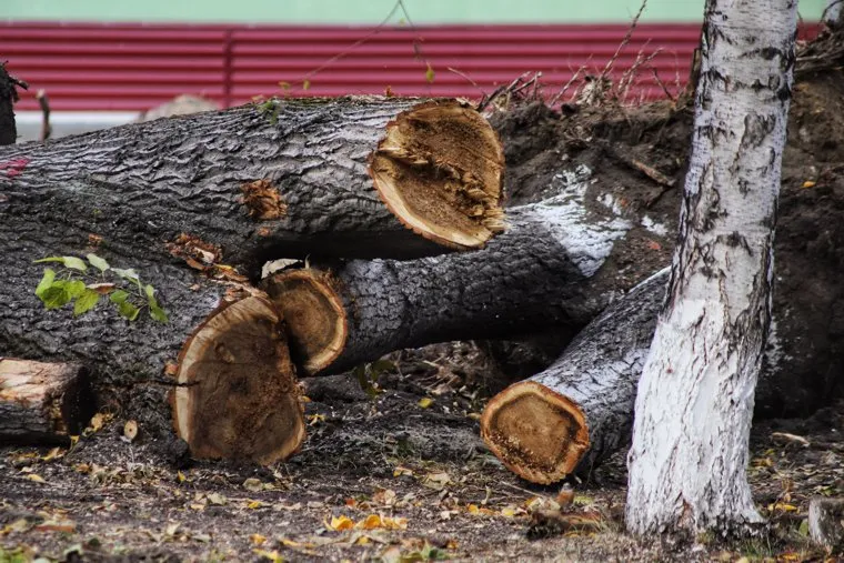 Перинатальный центр. Курган