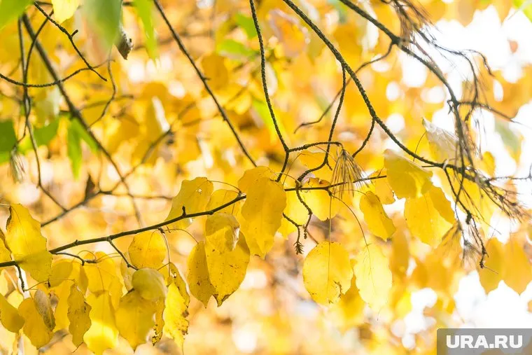 В ночное время похолодает до -2 градусов
