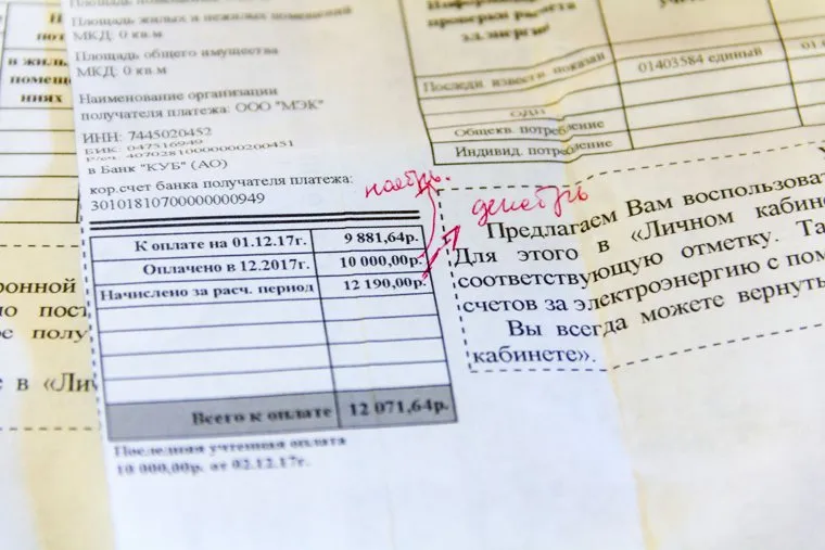 Поселок Новоянгелька. (Агаповский район). Челябинская область, электроэнергия, квитанция, счет