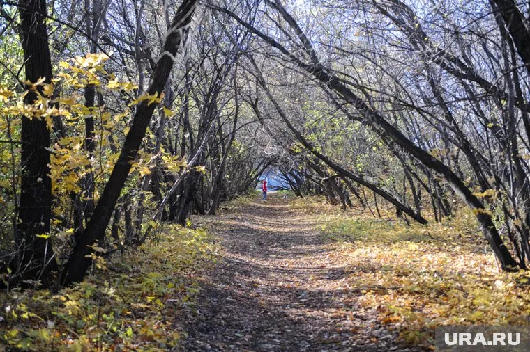 Жителей Чебаркуля напугало объявление о продаже земель памятника природы