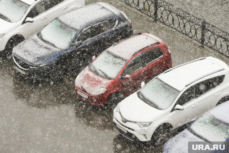 Выпавший снег растает из-за положительных температур