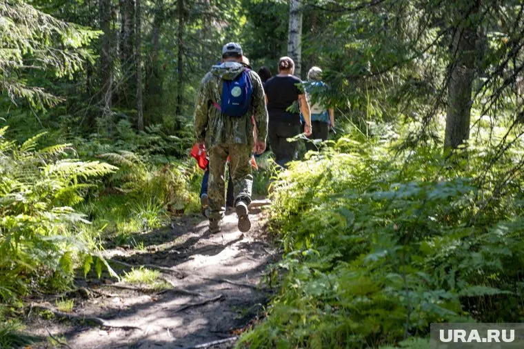 Теперь спасатели занимаются поисками (архивное фото)