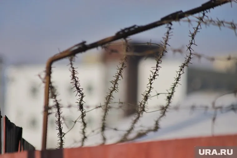 Хамзату Амаеву продлили содержание под стражей до 27 октября