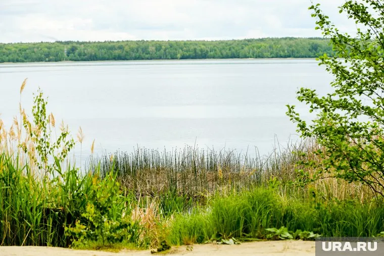 Несовершеннолетний ребенок утонул в водоеме около Лангепаса (фото из архива)