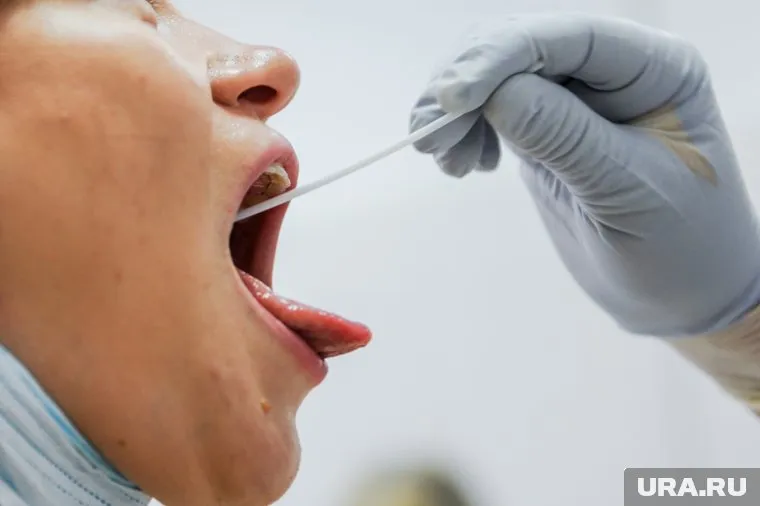 Материалом для исследования может стать не только стандартный мазок из носо- и ротоглотки, но и плазма крови, мокрота, кал, содержимое легких и материалы, полученные при вскрытии умерших